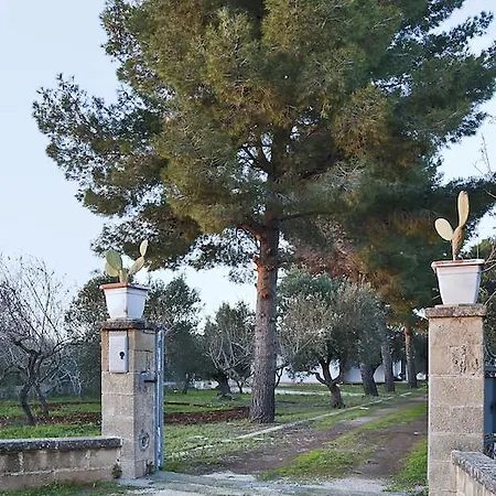 Nyaraló Ulivi